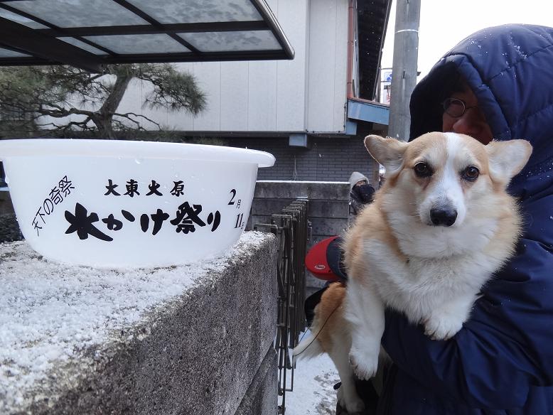 天下の奇祭・一関市大東大原の水掛祭に行った_f0075595_1452338.jpg