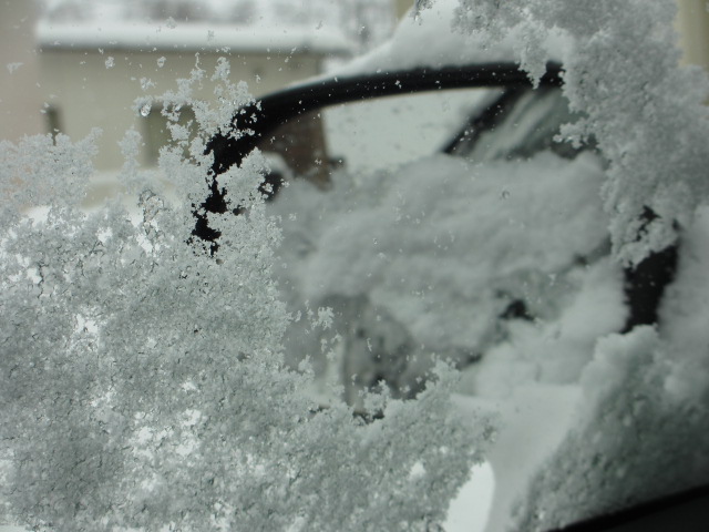 a0193698_20461250.jpg
