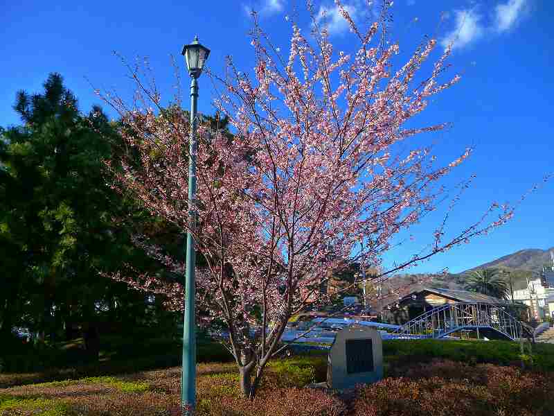 f0182513_21473715.jpg