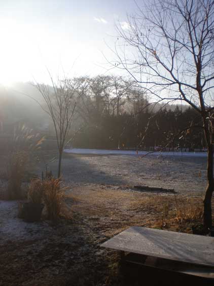 a0193314_8125063.jpg