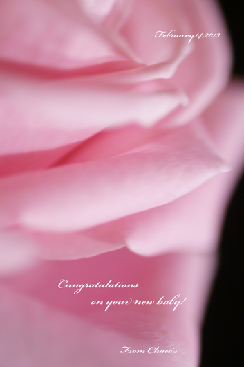 e0245625_209258.png