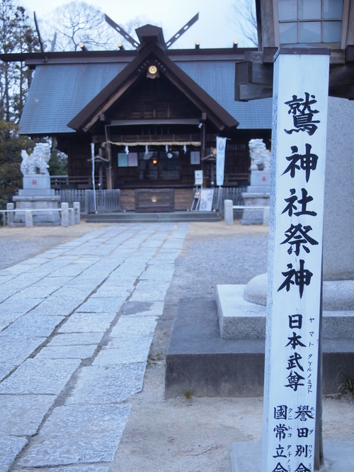 足立区下町の鷲神社　/　1_a0214329_16214943.jpg