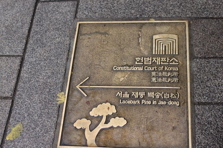 韓国旅行その14 「北村散策」_d0148729_21302457.jpg