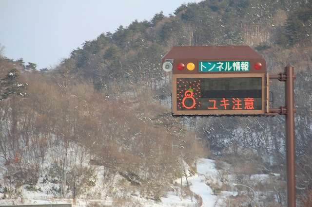 a0045932_22472747.jpg
