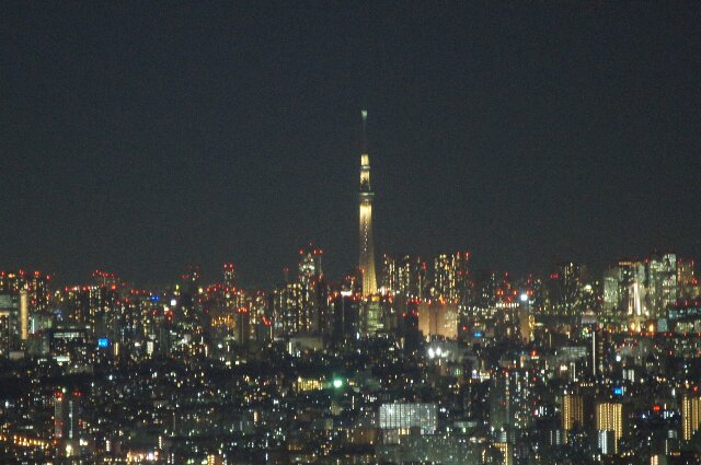 a0122932_1743386.jpg