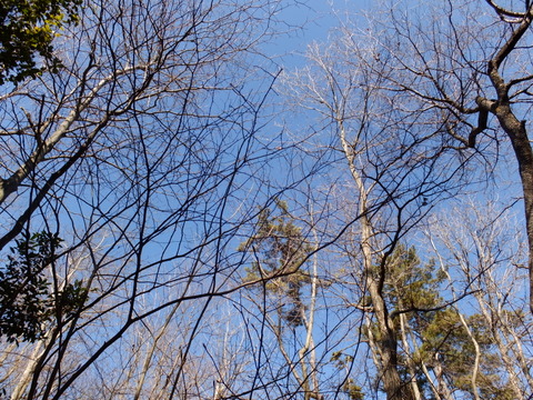 b0281732_21214499.jpg