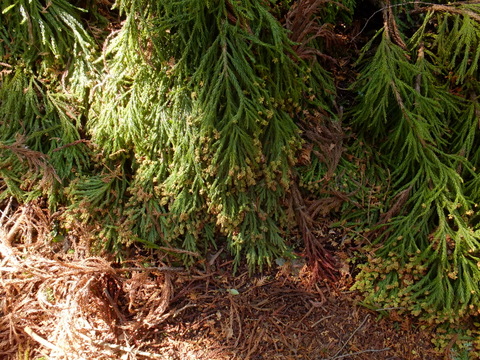 b0281732_21215981.jpg