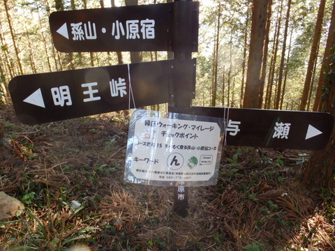 b0281732_21224442.jpg