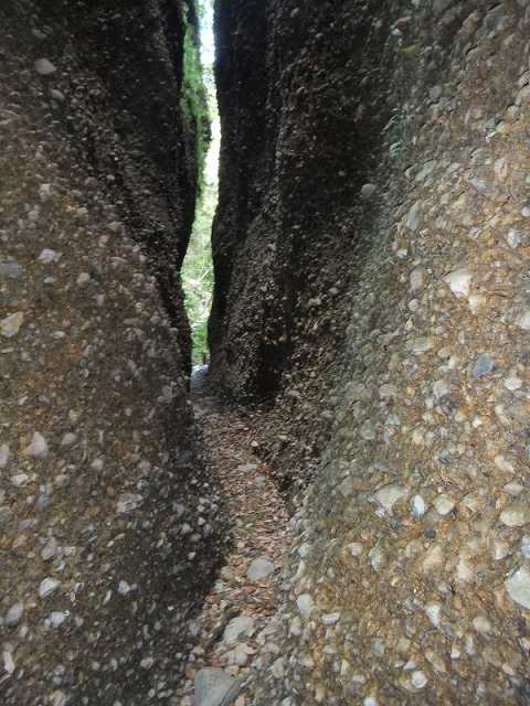 13年2月11日 月 小笠山 六枚屏風 2人 山友