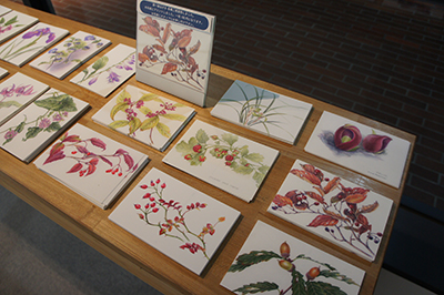 薄井壽一追悼展「八ヶ岳南麓の花・草・木 」開催中です_f0171840_1616218.jpg