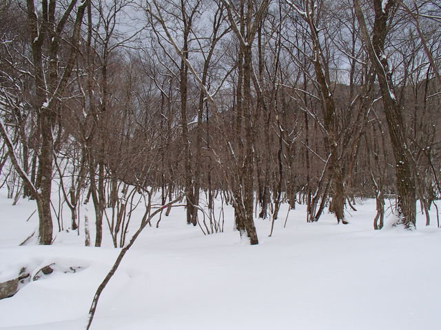 2/9~10 鈴鹿山脈 クラシ谷・地獄谷_e0189446_19501332.jpg
