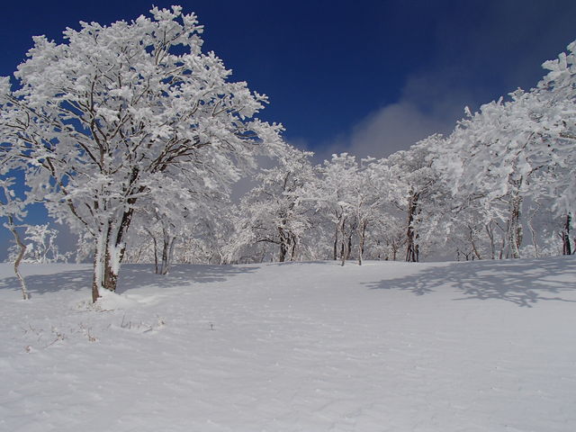 2/9～10　鈴鹿山脈　クラシ谷・地獄谷_e0189446_2315178.jpg