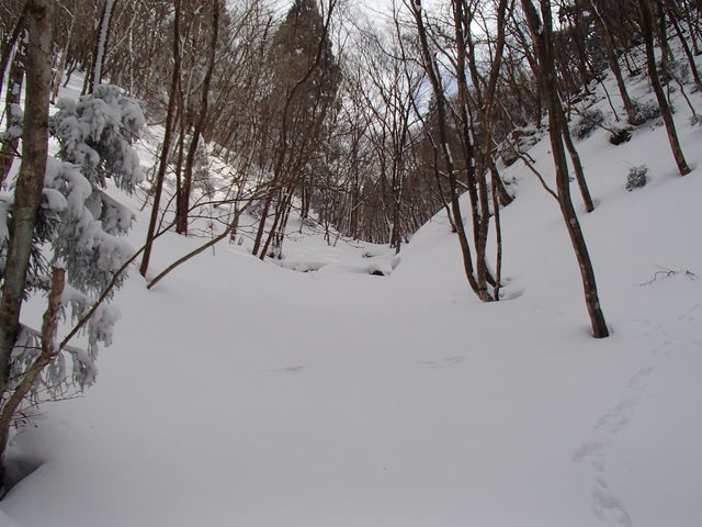 2/9~10 鈴鹿山脈 クラシ谷・地獄谷_e0189446_2316565.jpg