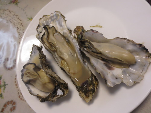 f0033046_21291135.jpg