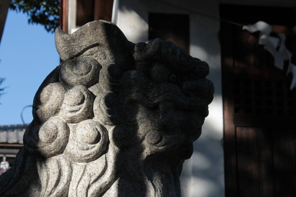 e0316056_20909.jpg