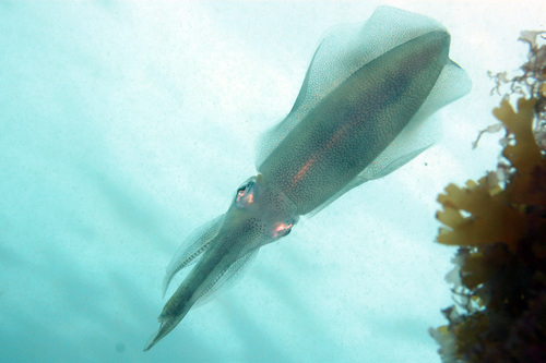 a0079659_8274466.jpg