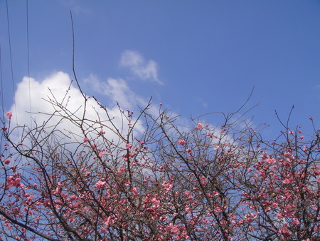 c0108460_18531461.jpg
