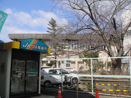 c0108460_1856101.jpg