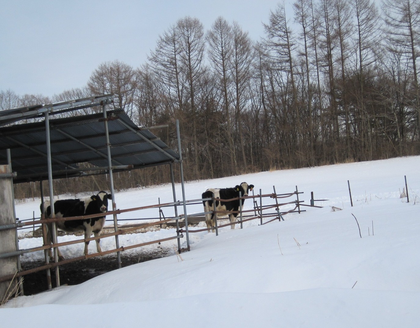 f0236260_1842479.jpg