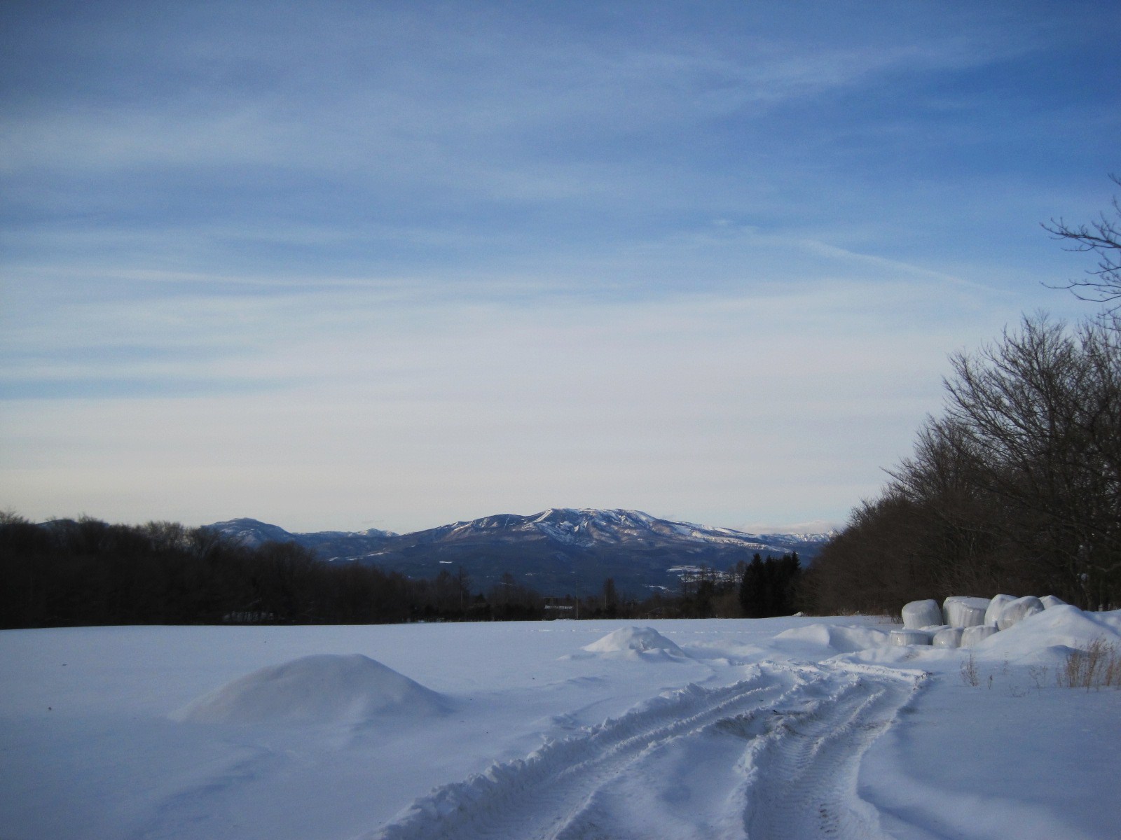 f0236260_19283259.jpg