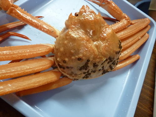 こんな食材が・・・_e0252966_12494461.jpg