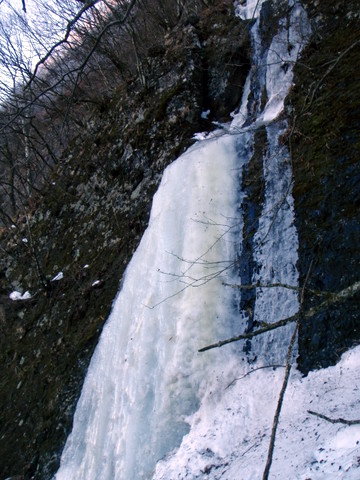 a0122673_2365836.jpg
