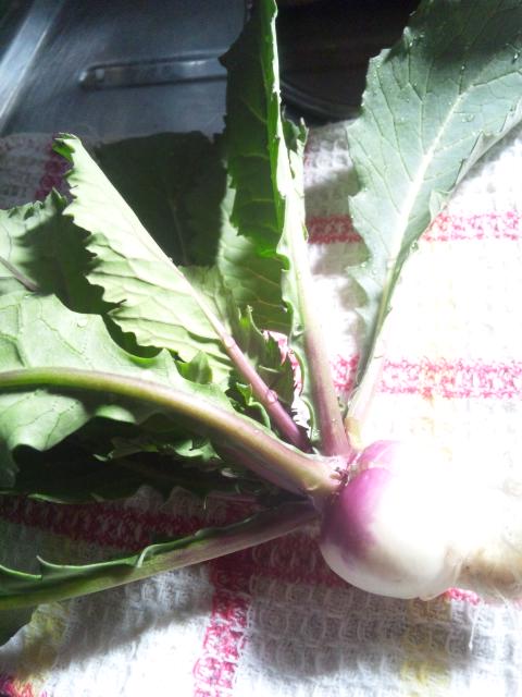 ごぶさた西荻_b0206877_8465128.jpg