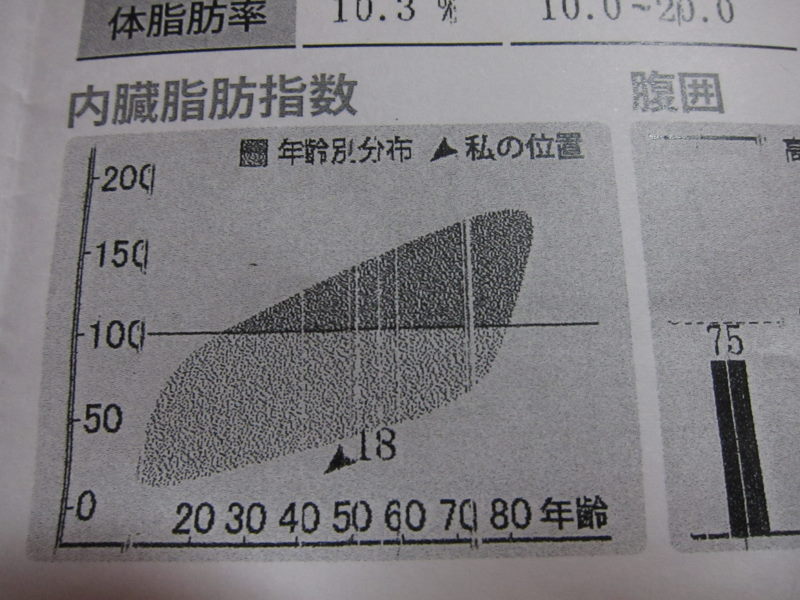 あまり喜ばしくない体重減少．．．しばらくはこまめにInBody測定_e0138081_13433238.jpg