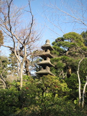 根津のお庭_f0061394_17164519.jpg