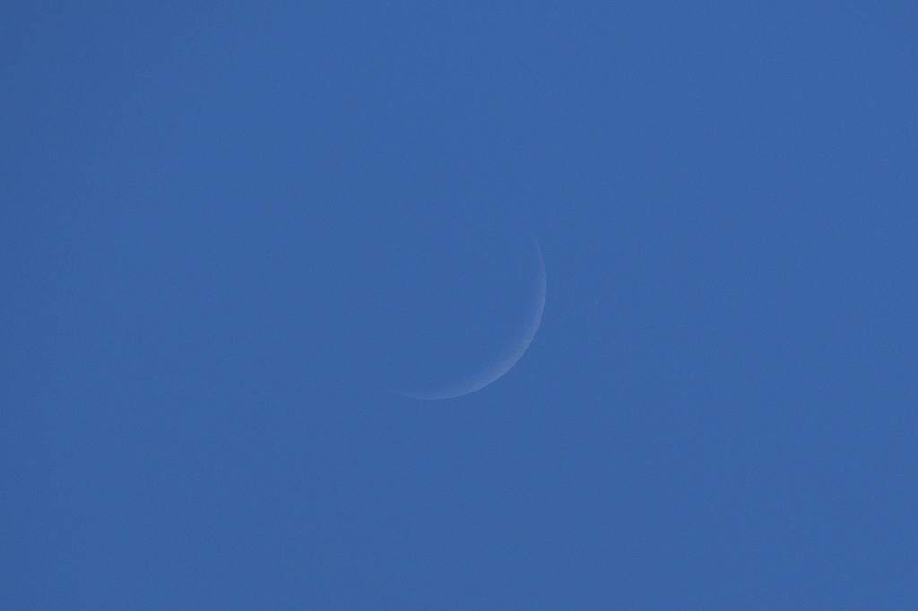 b0024798_20392929.jpg