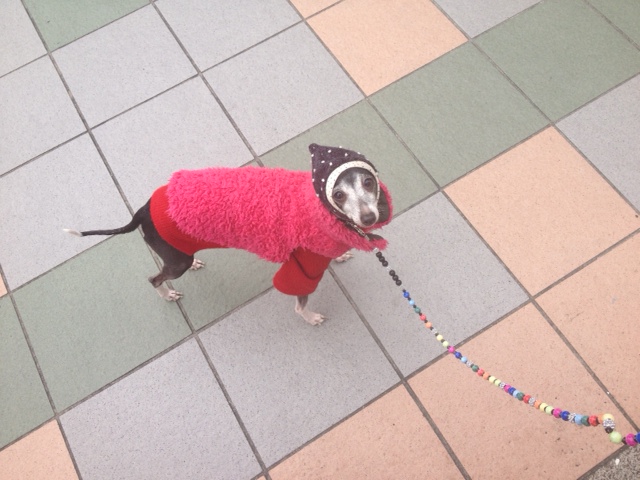 ゆるりとゆるりと。_a0050302_13777.jpg
