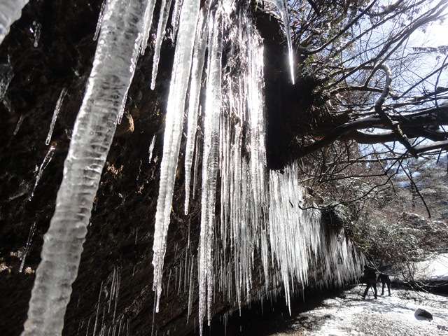 f0231709_21224519.jpg