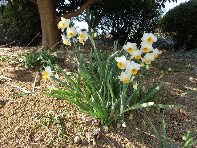 祝日の広見公園と、初めて訪れた「稲垣邸」_f0141310_718115.jpg