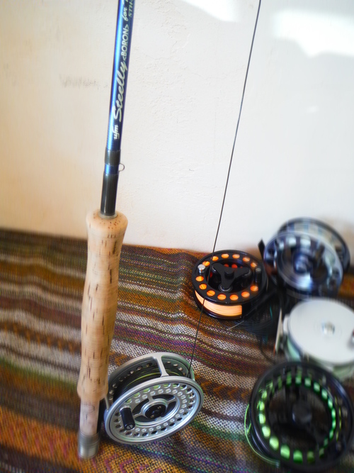 a0236914_11403112.jpg