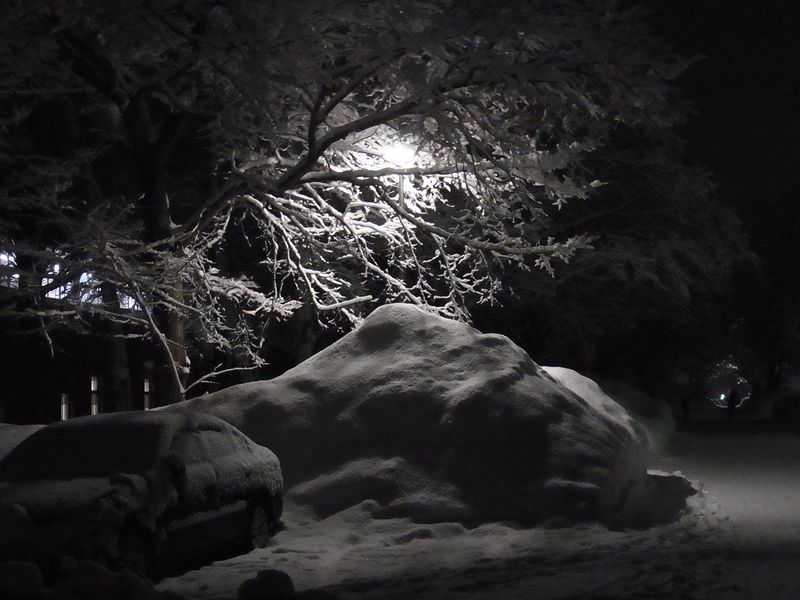 午後の大雪_c0025115_22131643.jpg