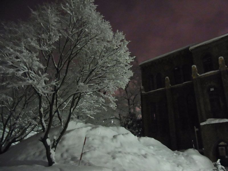 午後の大雪_c0025115_22172416.jpg
