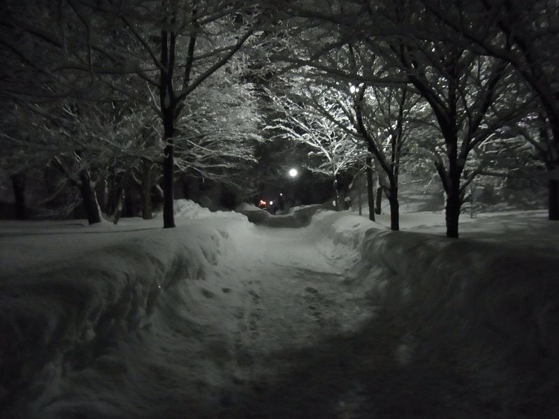 午後の大雪_c0025115_22193962.jpg