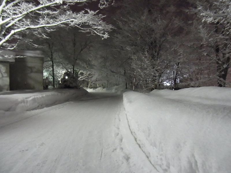 午後の大雪_c0025115_22224383.jpg
