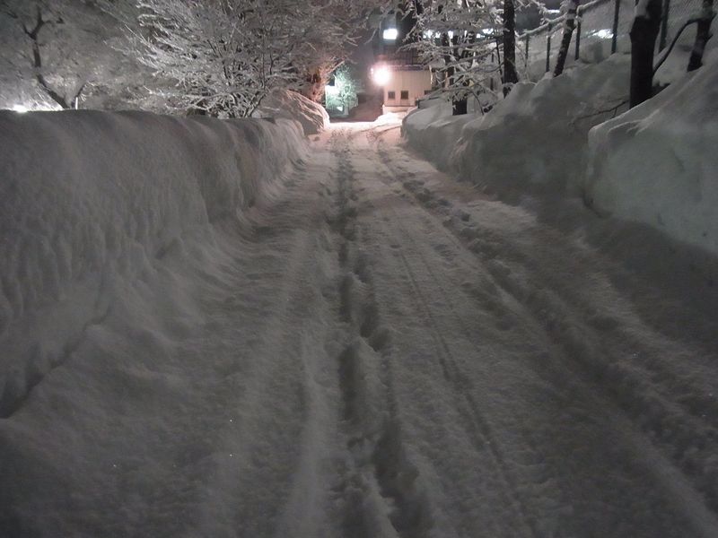 午後の大雪_c0025115_222681.jpg