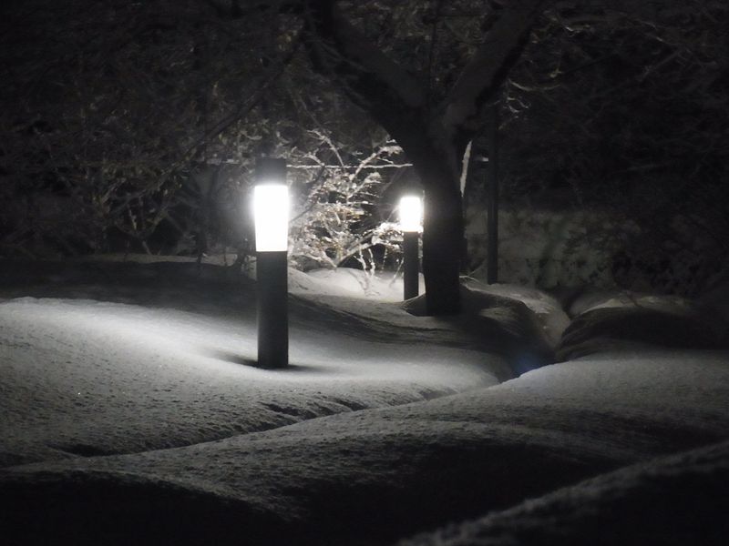 午後の大雪_c0025115_22281690.jpg