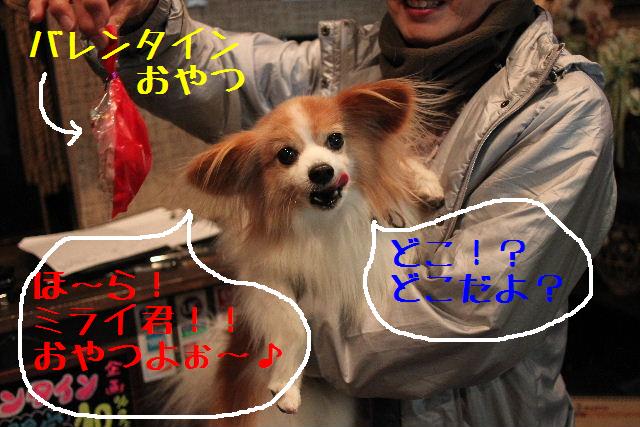 バレンタインですね♪_b0130018_1846190.jpg