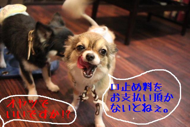 バレンタインですね♪_b0130018_1854464.jpg