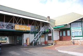 c0147830_15371137.jpg