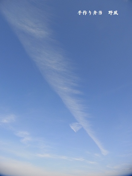 b0244034_1824085.jpg