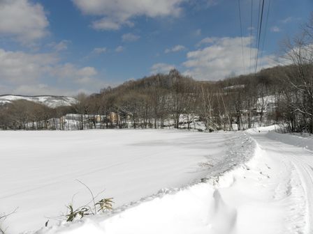 雪遊び大好き!龍泉洞黒豚_b0206037_18533373.jpg