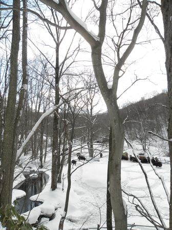 雪遊び大好き!龍泉洞黒豚_b0206037_18564891.jpg
