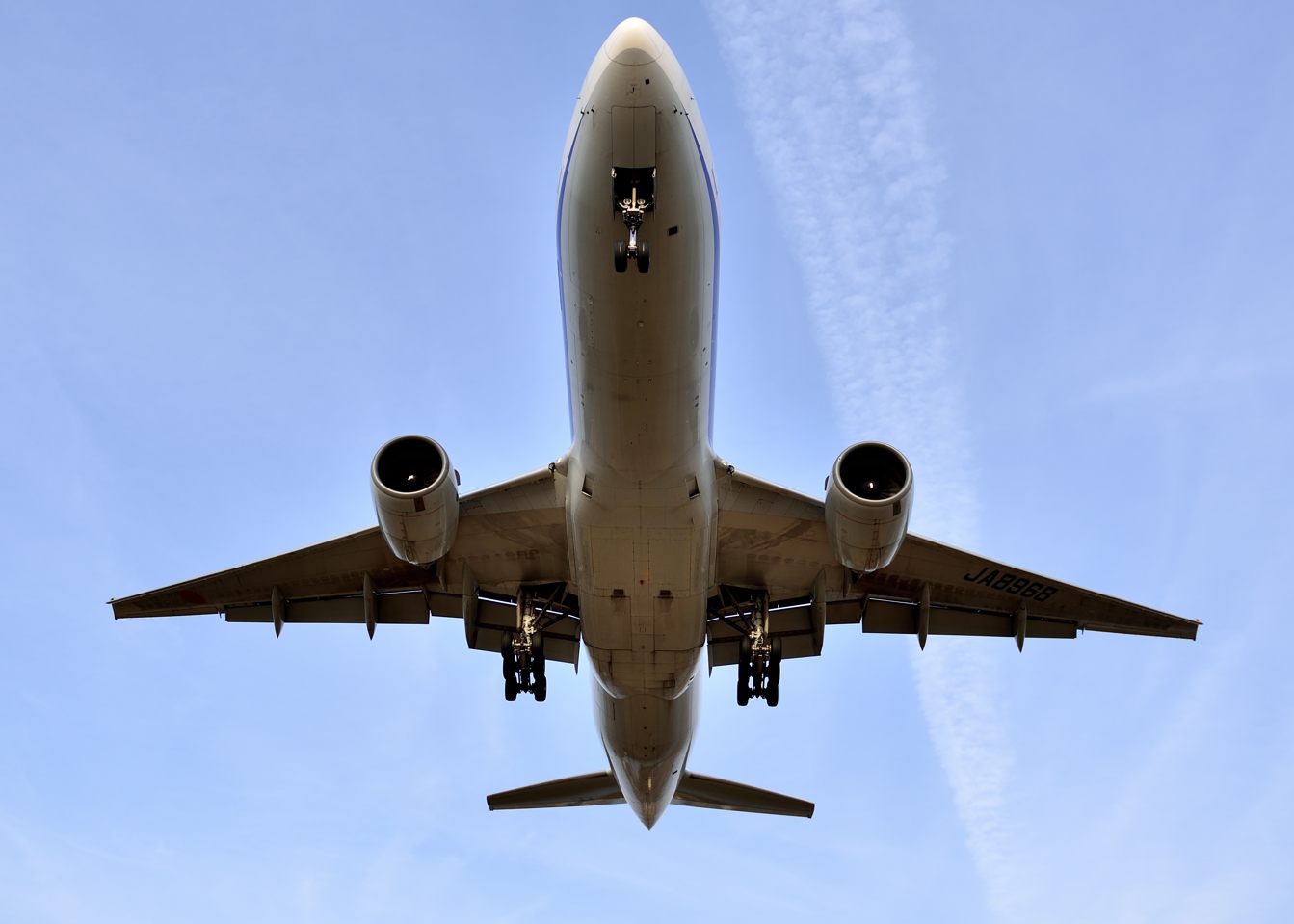 d0172537_2264572.jpg