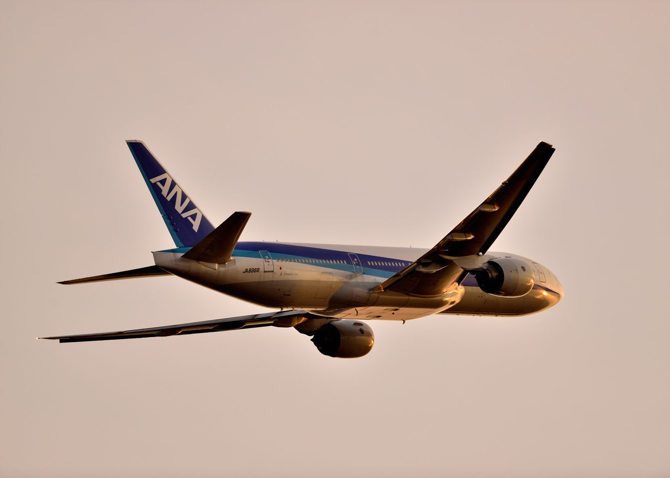 d0172537_22771.jpg