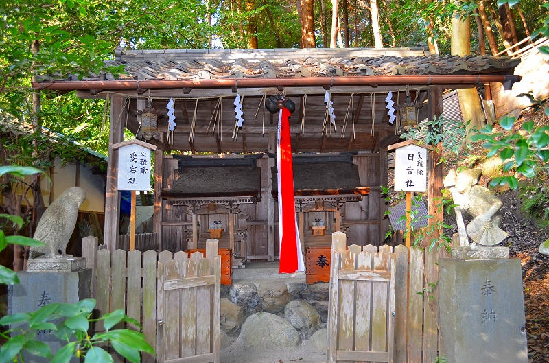 京都東山、哲学の路にある「大豊神社」_e0237645_15431532.jpg