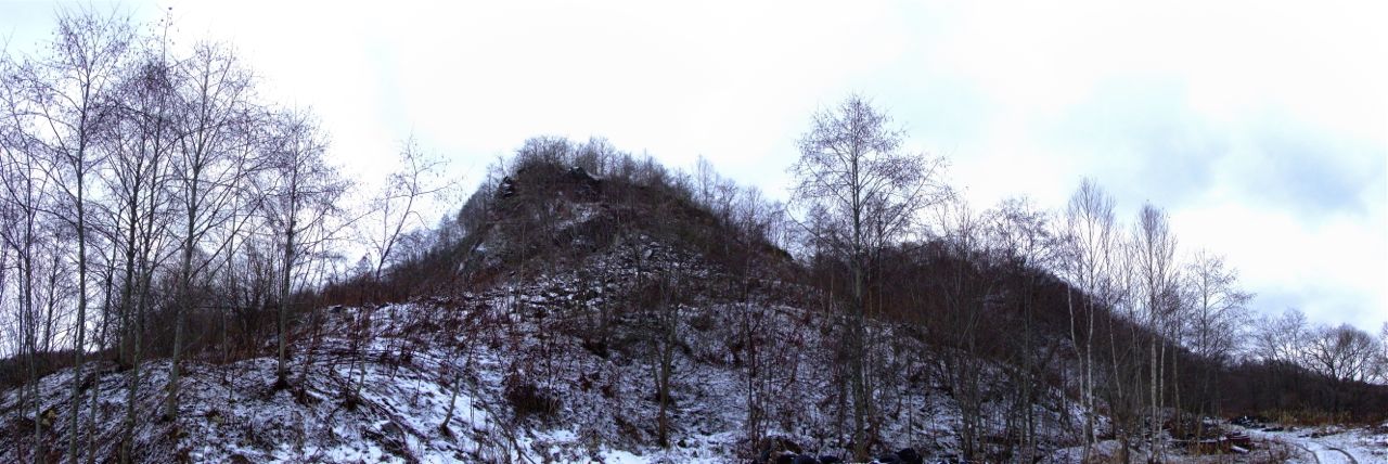 e0290546_17123861.jpg